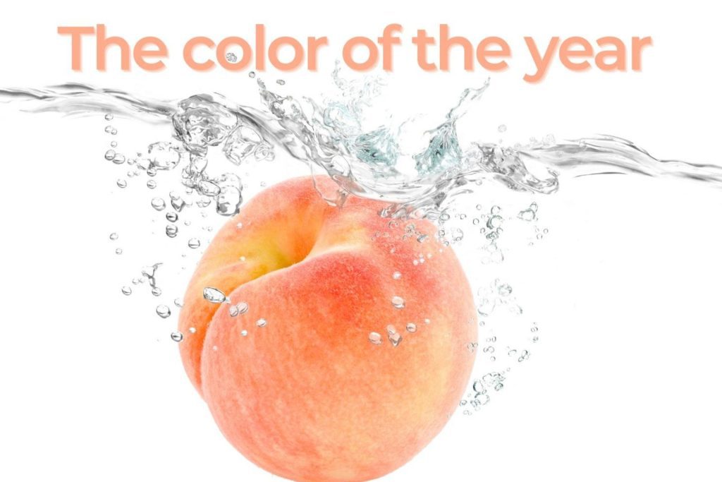 Peach fuzz color of the year