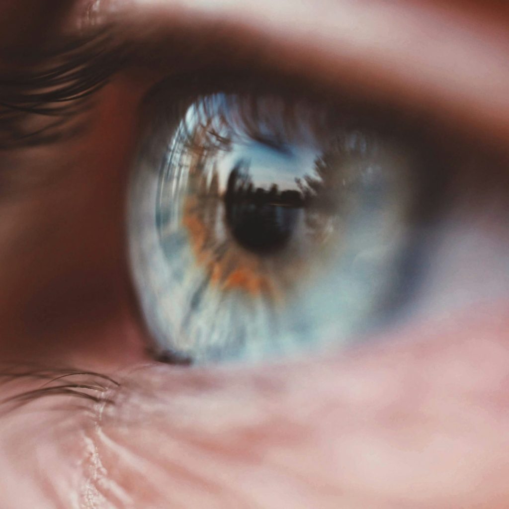 Close-up of an eye’s curvature