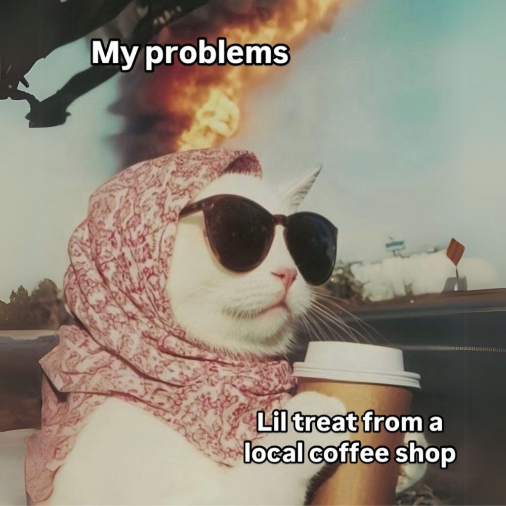 Meme of a cat wearing sunglasses, scarf, and sunglasses not caring while fire rages behind her
