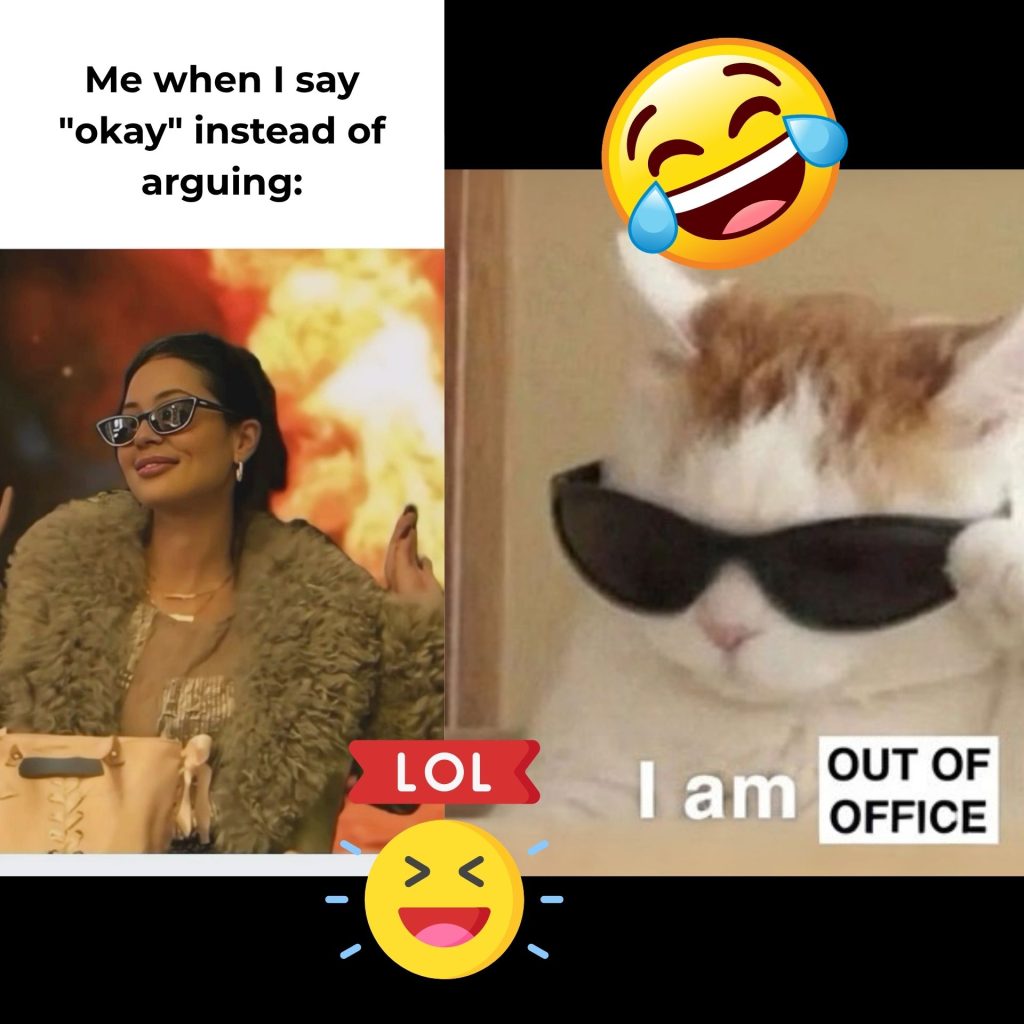 (Left) Meme of a happy woman wearing a fur coat and sunglasses while a fire rages, (Right) a meme of a cat relaxing in sunglasses