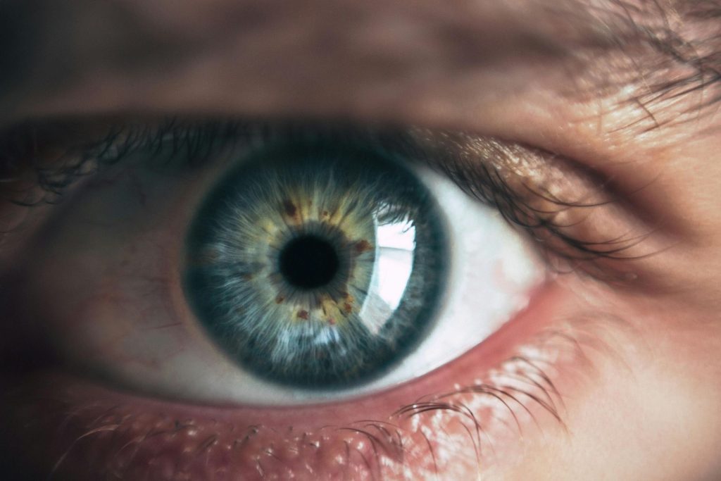 Close-up of an eye