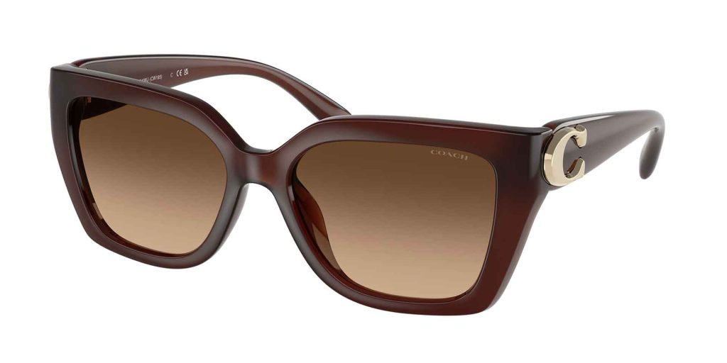 Coach HC8408U CW195 0HC8408U brown sunglasses 