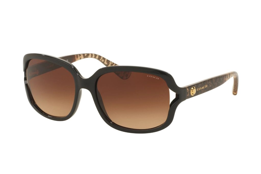 Coach HC8169 L149 sunglasses featuring brown frames and brown lenses