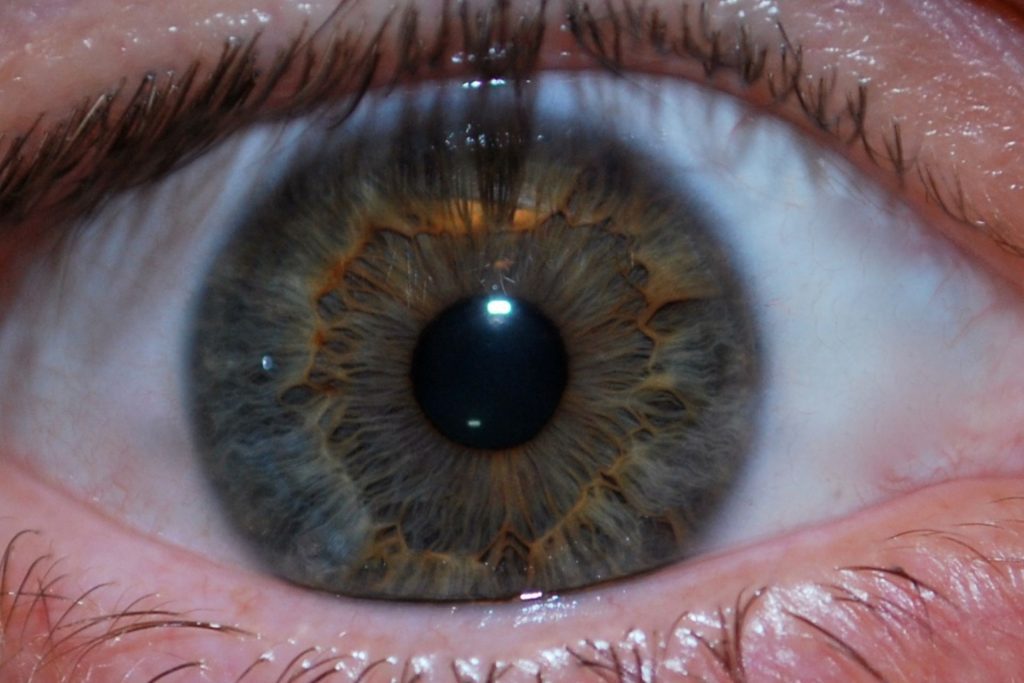 Close-up of hazel-gray eye
