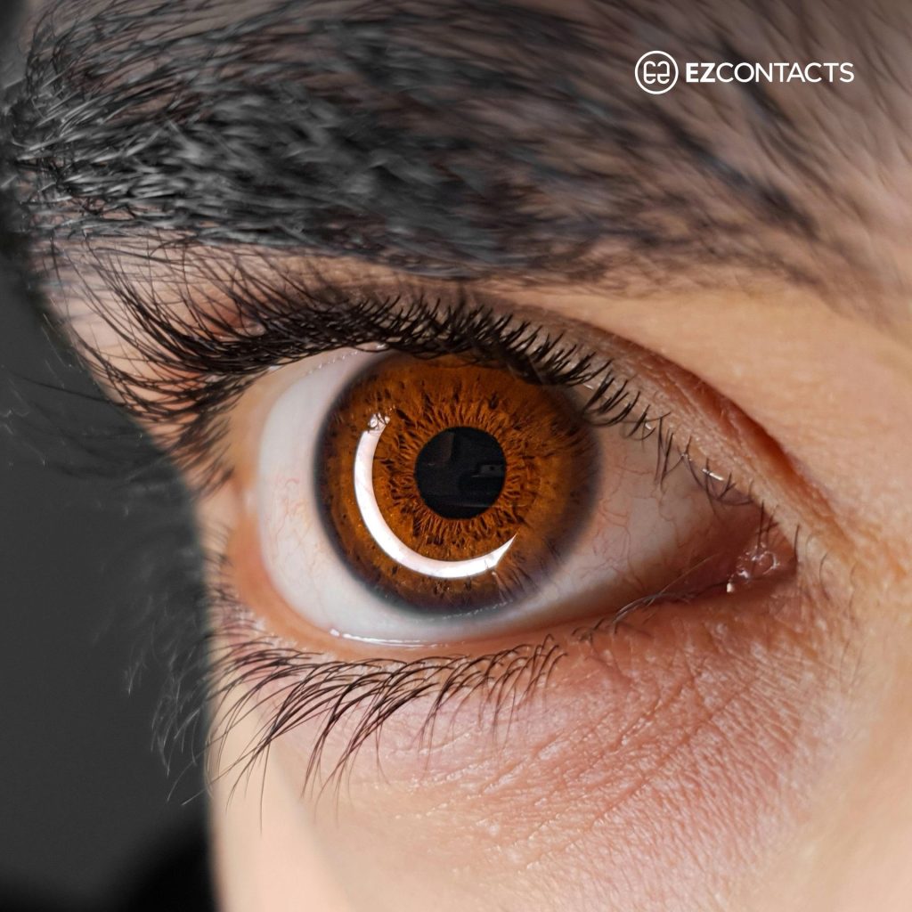 Close-up of a brown eye
