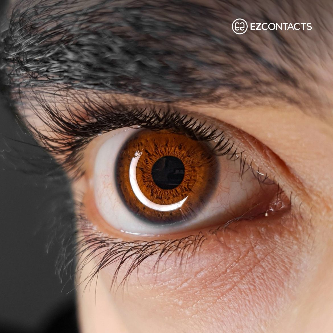 Close-up of a brown eye