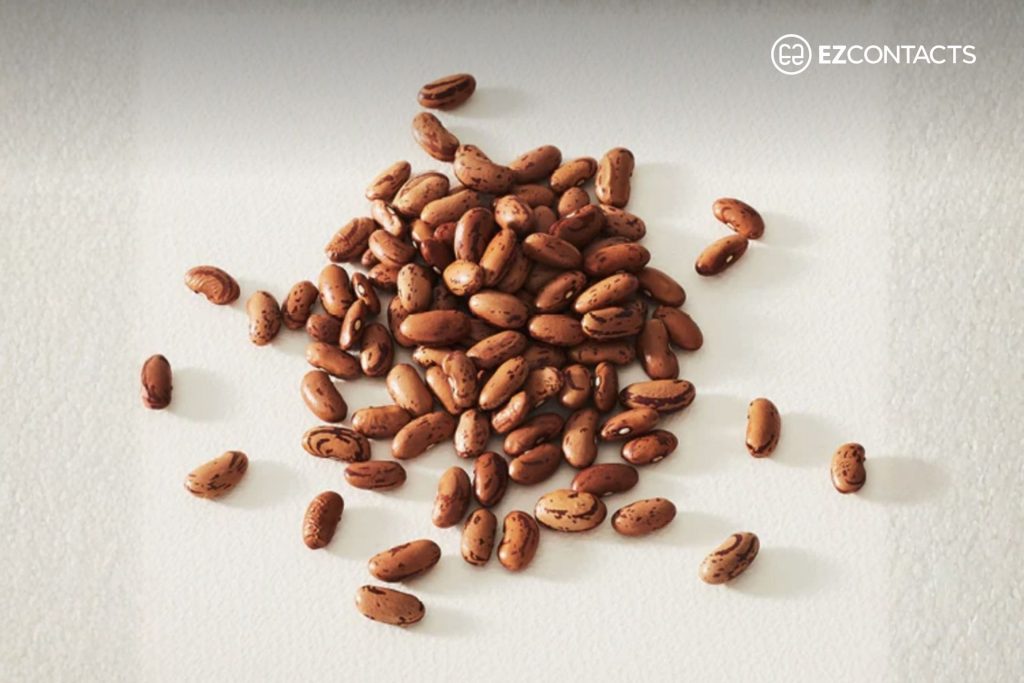 Castor seeds
