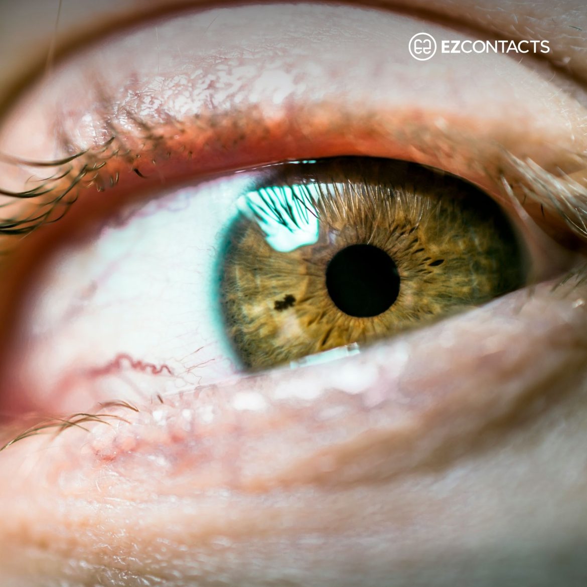 Close-up of green eye