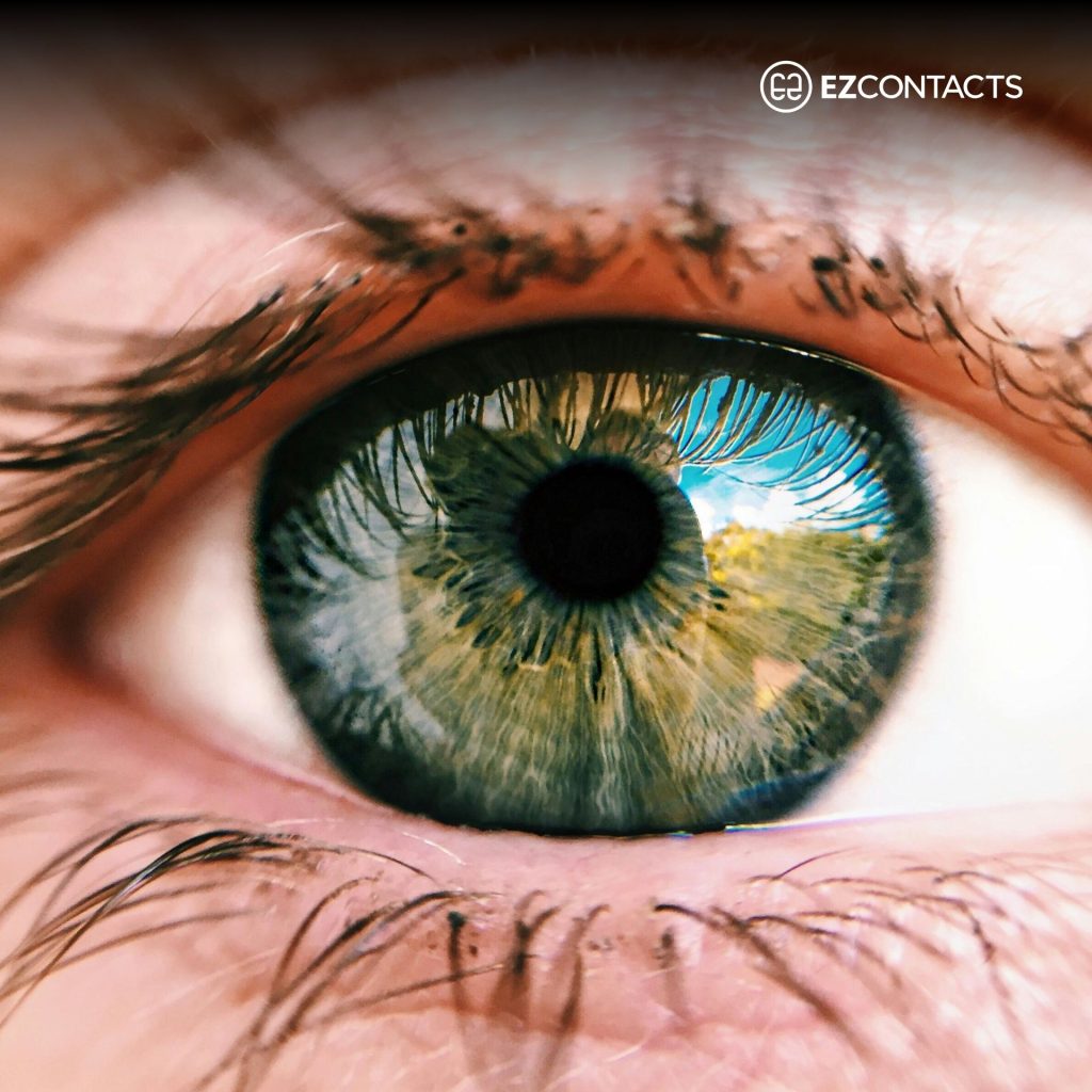 Close-up of an eye