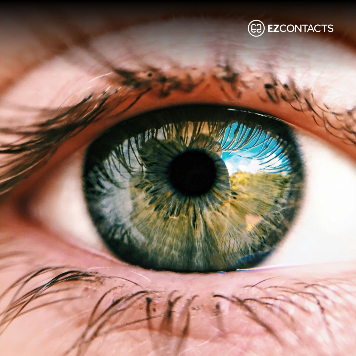 Close-up of an eye