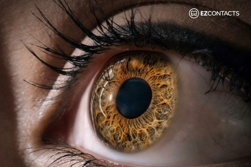 Close-up of an eye