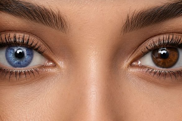 Best Colored Contacts For Brown Eyes: Are There Good Options? 