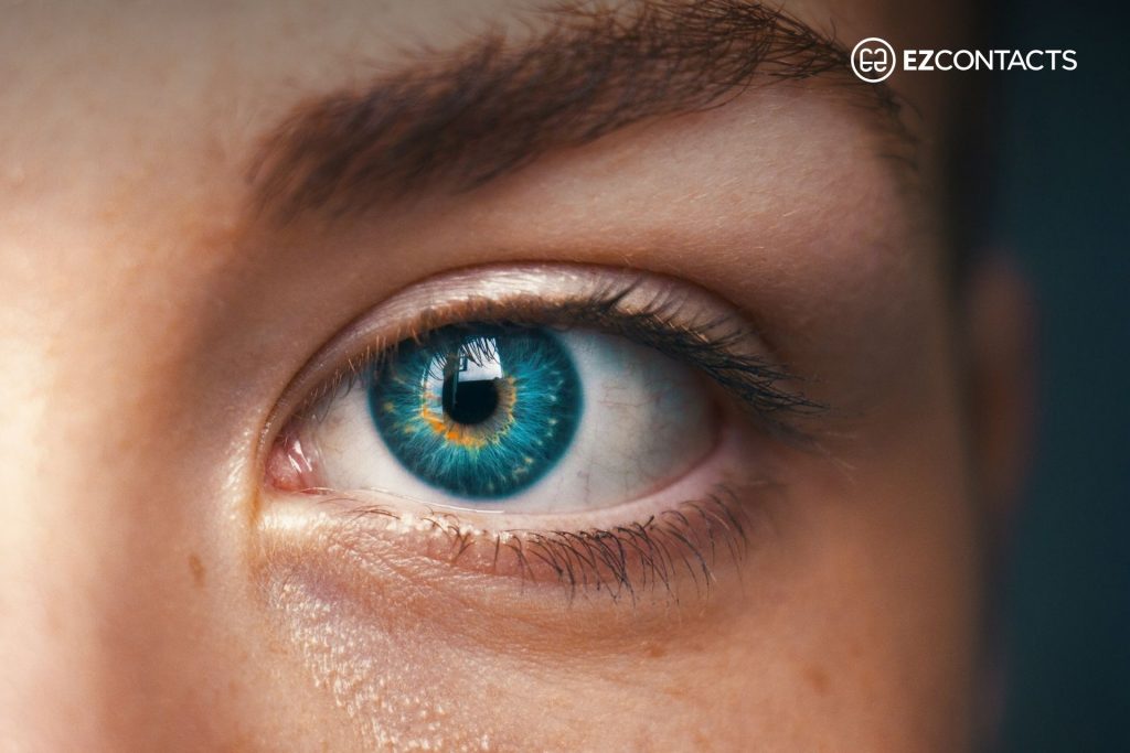 Close-Up of Eye